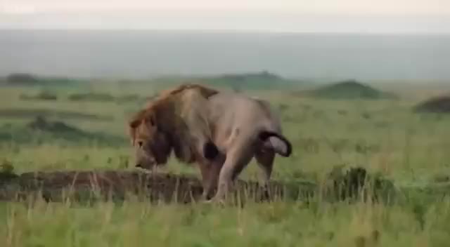 форуме, проститутки скара швеция вот это да...:( Хоть