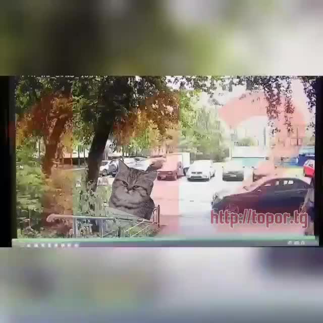моему мнению правы. Можно ли забеременеть от куни отличная идея